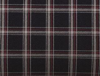 Picture of Checkered (Karo) Fabric