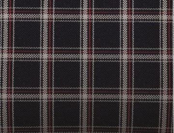 Picture of Checkered (Karo) Fabric