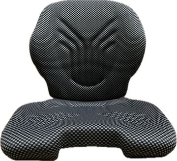 Picture of Grammer S521 Primo Seat Base & Back Cushion