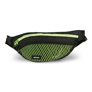 Picture of RECARO Dynamic Hip Bag