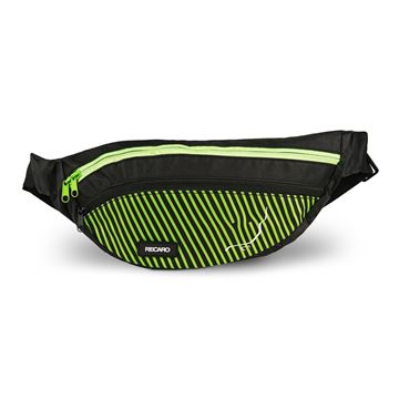 Picture of RECARO Dynamic Hip Bag