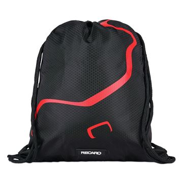 Picture of RECARO Race Gymbag