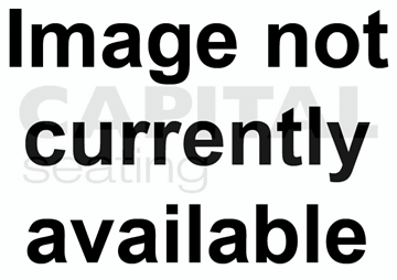 Backrest Shell - RECARO Trend Picture of Backrest Shell - Trend