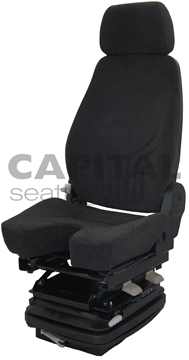 Capital Bison Seat 1 Picture of Capital Bison