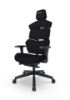 RECARO Gaming Chair - Nxt, Raven Black 1