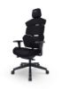 RECARO Gaming Chair - Nxt, Shadow Black 1